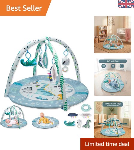 Engaging dinosaur play - engaging, mat
